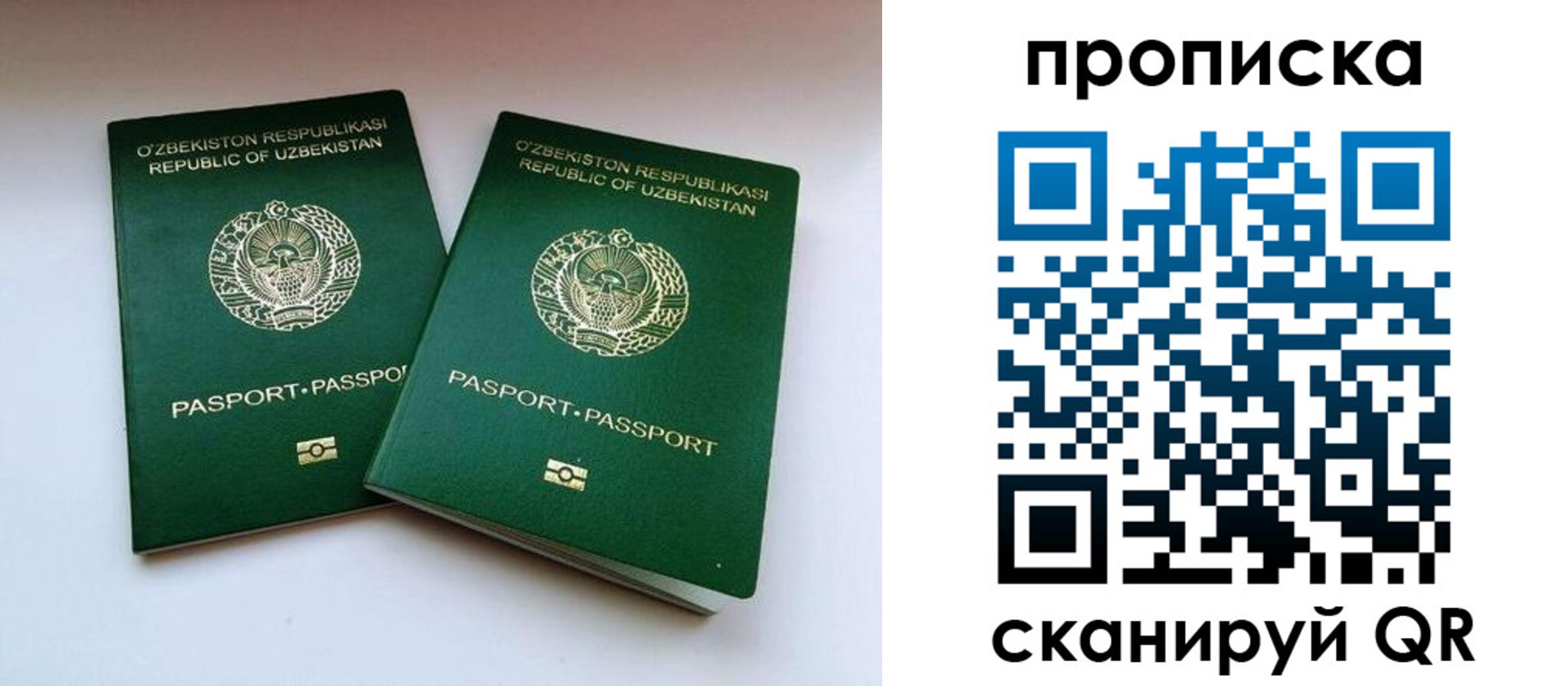 прописка поиск в Владикавказе